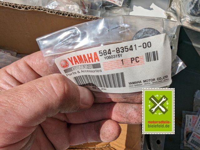 PXL_20240528_153506740